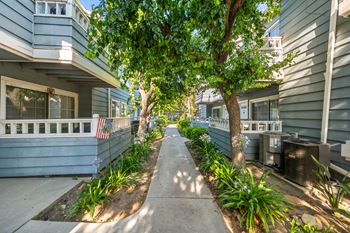 A tree-lined sidewalk in front of a row of houses.